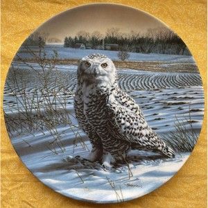 THE SNOWY OWL-The Stately Owl Collection: Birds Of Prey-Edwin Knowles Plate-1989